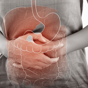 Arkas-Gut-Health-Programme- (1)