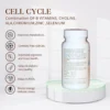 Cell Cycle Supplement - Image 2