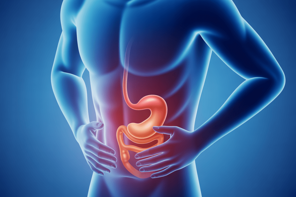 Anatomical illustration showing the location of a Spigelian hernia hidden between abdominal muscle layers on the side of the lower abdomen