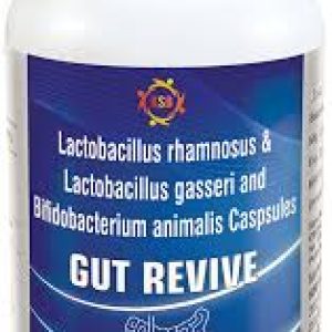 gut revive